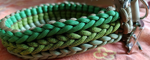 Hundehalsband aus paracord - hundehalsband,