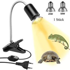 Schildkröten Wärmelampe