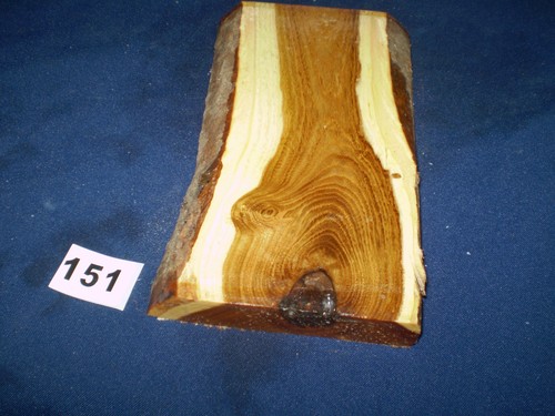 Goldregen schmuckholz für - schmuckholz,