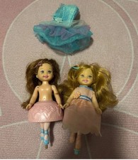 Barbie und die 12 tanzenden Prinzessinnen Janessa & Lacey Puppen Ballerina