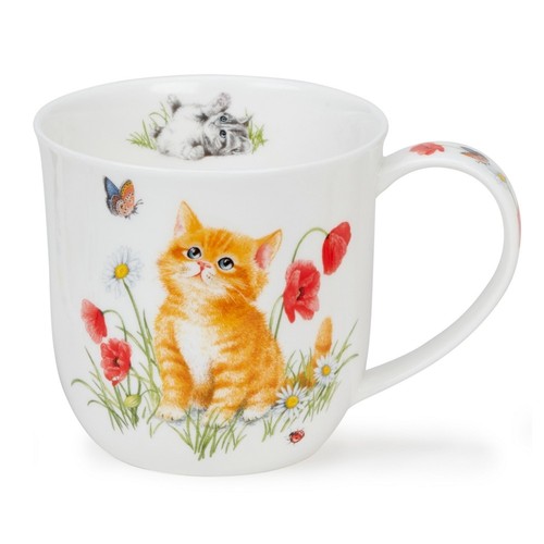 Dunoon tasse kittens kätzchen - dunoon,