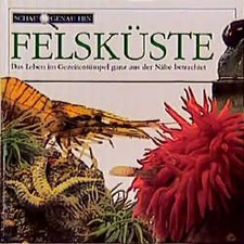 Schau genau hin / Felsküste