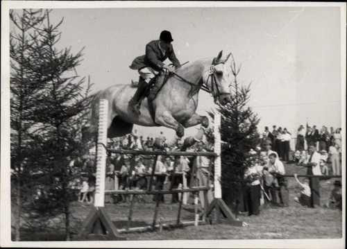 Foto köln springreiten - foto,