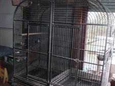 Papageienvoliere 1,60 m Länge x 1,60 m Höhe x 0.80 m Tiefe - NUR NOCH KURZE ZEIT