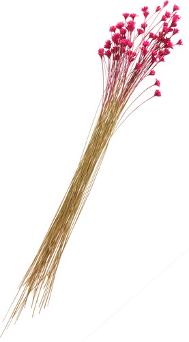 Hillflower kunstblume cm - hillflower,