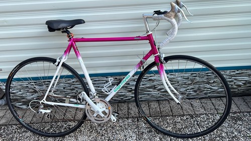Koga miyata rennrad weiß rh - koga,
