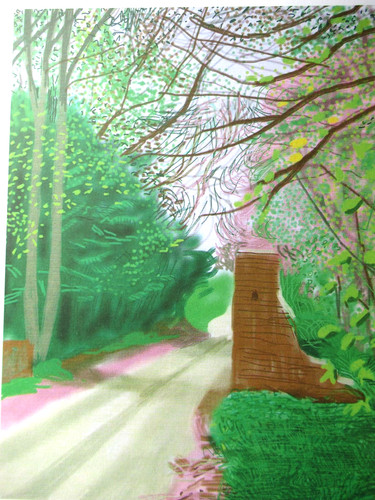 David hockney lithographie - david,