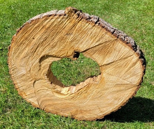Baumscheibe von der - 🌳,