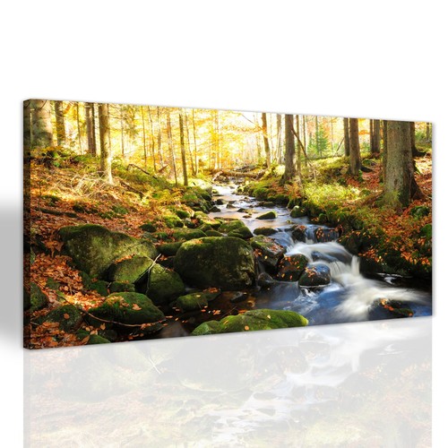 Wald herbst landschaft - herbst,
