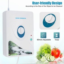 AC 220V Ozongenerator 600mg h