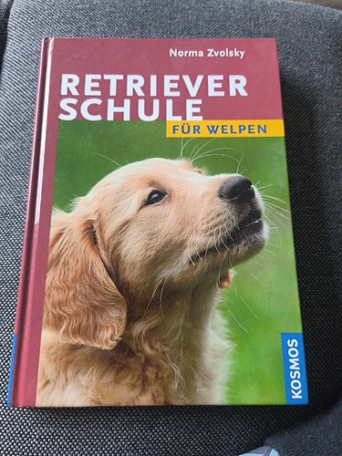 Retrieverschule für welpen - für,