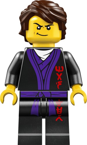 Lego minifigs ninjago - -,