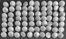 Wehrmacht, Luftwaffe