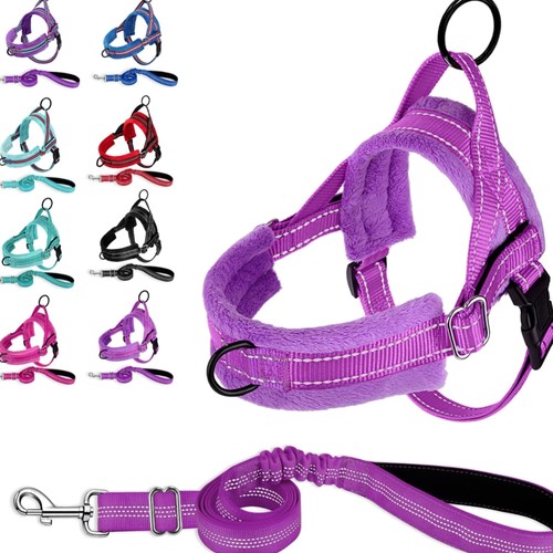 Hundegeschirr mit leine - mit,