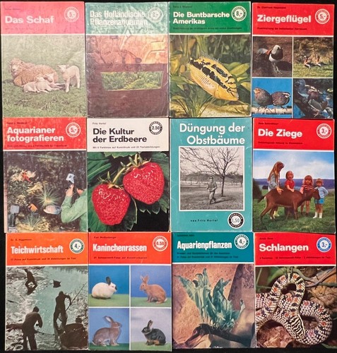 Sammlung paket phiiol - paket,