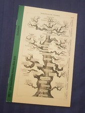 Sonderheft 2019 "EVOLUTION"