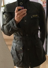 Grünbraune bellstaff