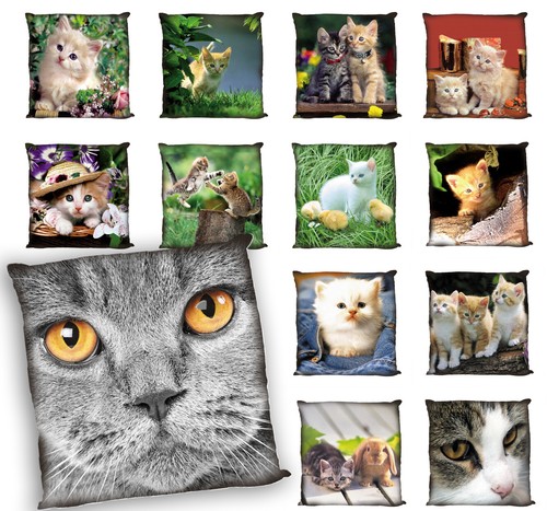 Kissenbezug 37x37 katzen - kissenbezug,