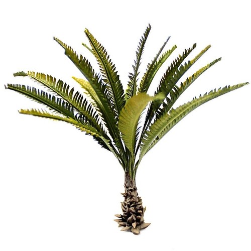 Palme mini höhe 1 - palme, 8
