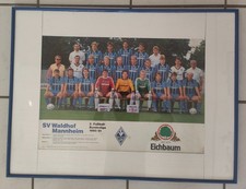 Waldhof mannheim - waldhof,
