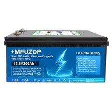 12V 200Ah Lithium Batterie LiFePO4 2560Wh Akku BMS 10000+ Zyklen Solaranlage