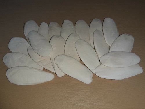 Sepiaschalen 12cm - 10, /