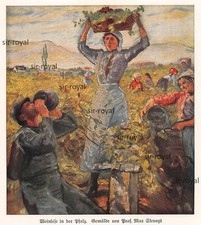 Weinlese in der Pfalz - Max