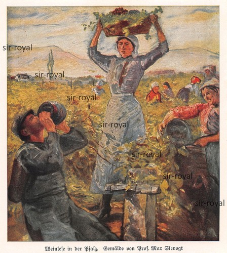 Weinlese der pfalz max - -,