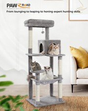 PAWZ Road Kratzbaum Große