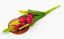 Puppenhaus Pink Gladiolen