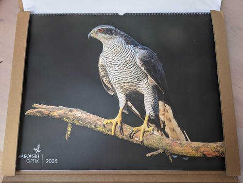 Swarovski optik kalender - optik,