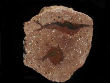 Atoll-Achat aus Hohenstein-Ernstthal