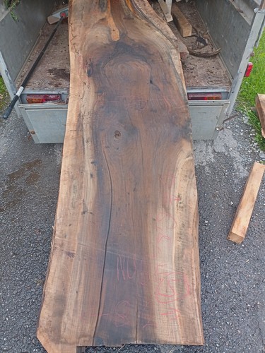 Nussbaum bohle - nussbaum,