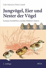 Jungvögel, Eier und Nester