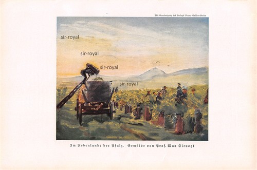 Rebenlande der pfalz - rebenlande, max