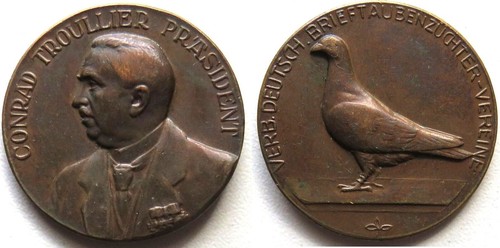 Taubenzucht bronzemedaille - taubenzucht,