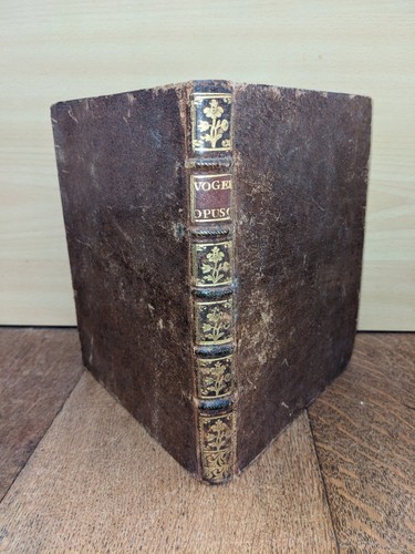 Antikes buch rudolphi - antikes,