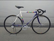 Basso loto campagnolo chorus - basso,