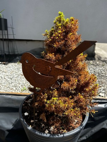 Edelrost specht garten - edelrost,