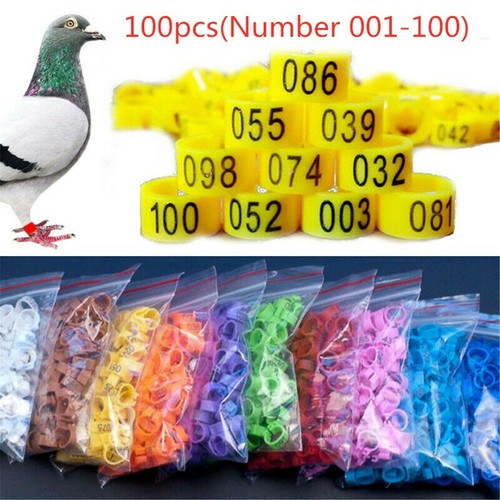 100pcs vogel ringe beinbänder - ringe,