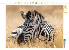 CALVENDO Puzzle Schönheit und