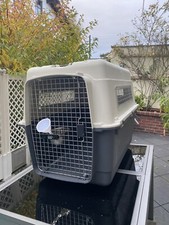 Hunde flugbox - hunde,