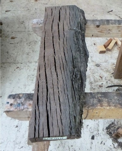 Mooreiche moorholz 2000 - moorholz,