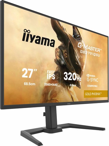 Iiyama master gold - g-master, phoenix