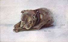 Künstler Ak Schlafender Hund, Bulldogge - 11052209