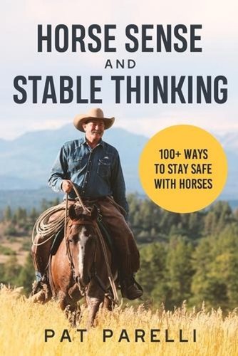 Horse sense and stable - horse,