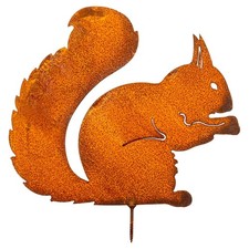 Edelrost eichhörnchen zum - edelrost,