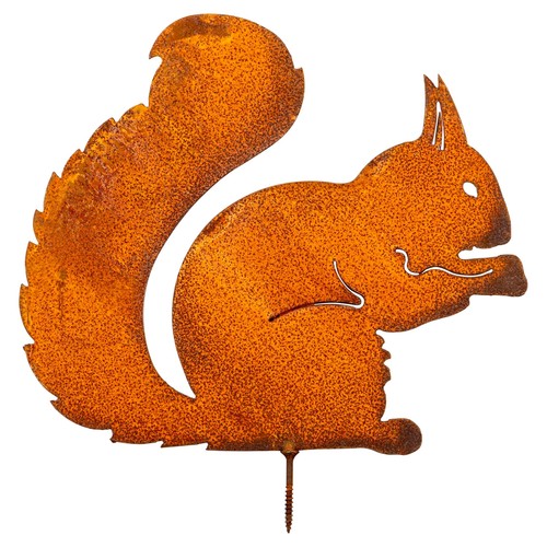 Edelrost eichhörnchen zum - edelrost,
