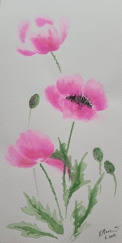 Bild selbstgemalte poppy - bild, 1