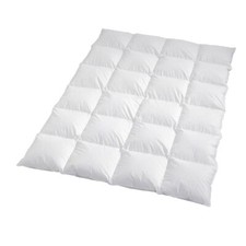 Daunendecke Arktis warm